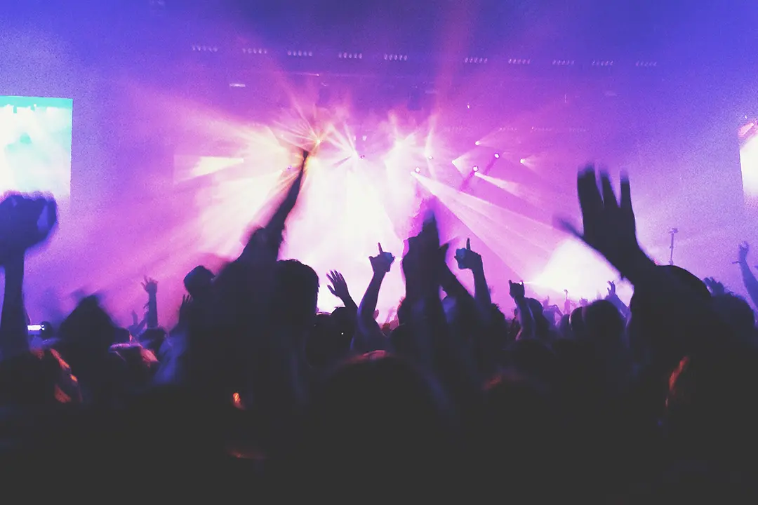 Dukeland Festival Case Study 3