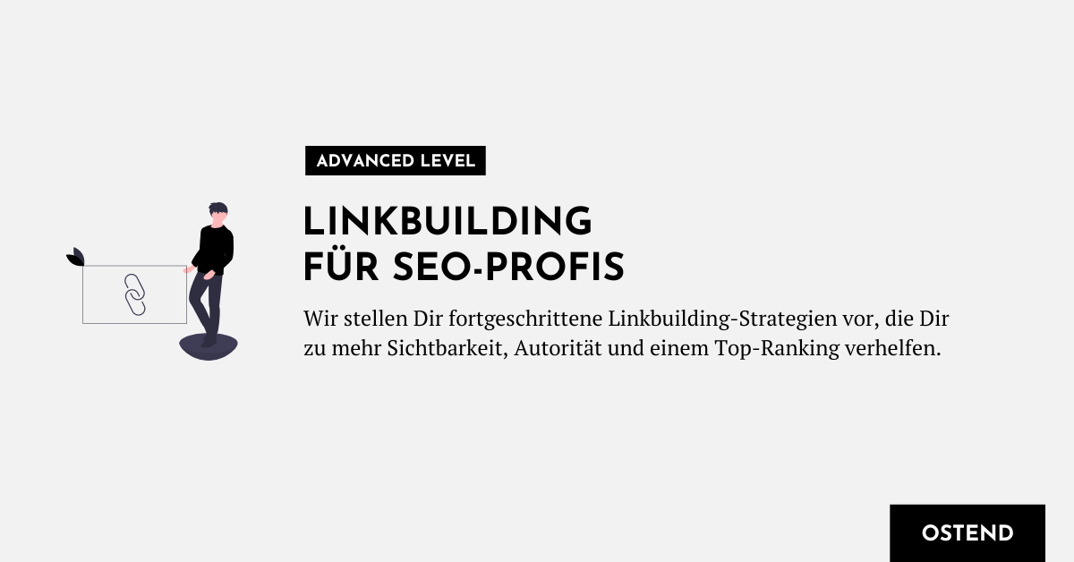 Linkbuilding für SEO-Profis - Strategien für den professionellen Linkaufbau