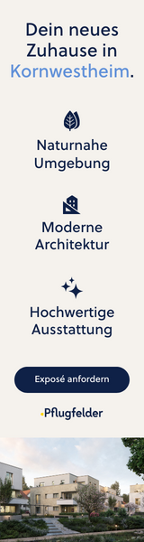 Google Display Ad für Plugfelder von Ostend Digital