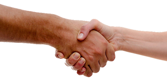 Performance Marketing Partner Ostend Digital