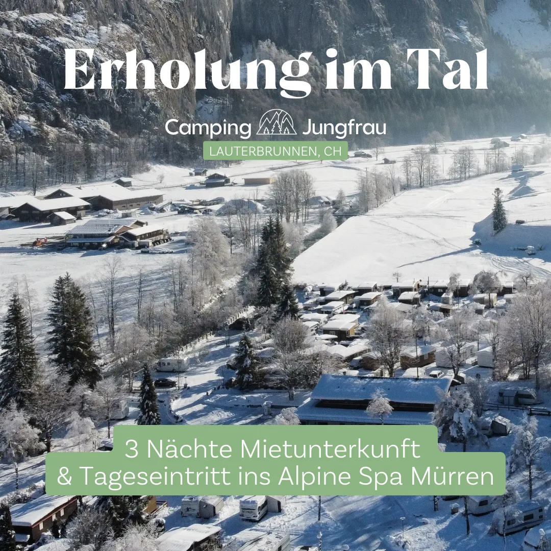 Camping Lodge Meta Ad