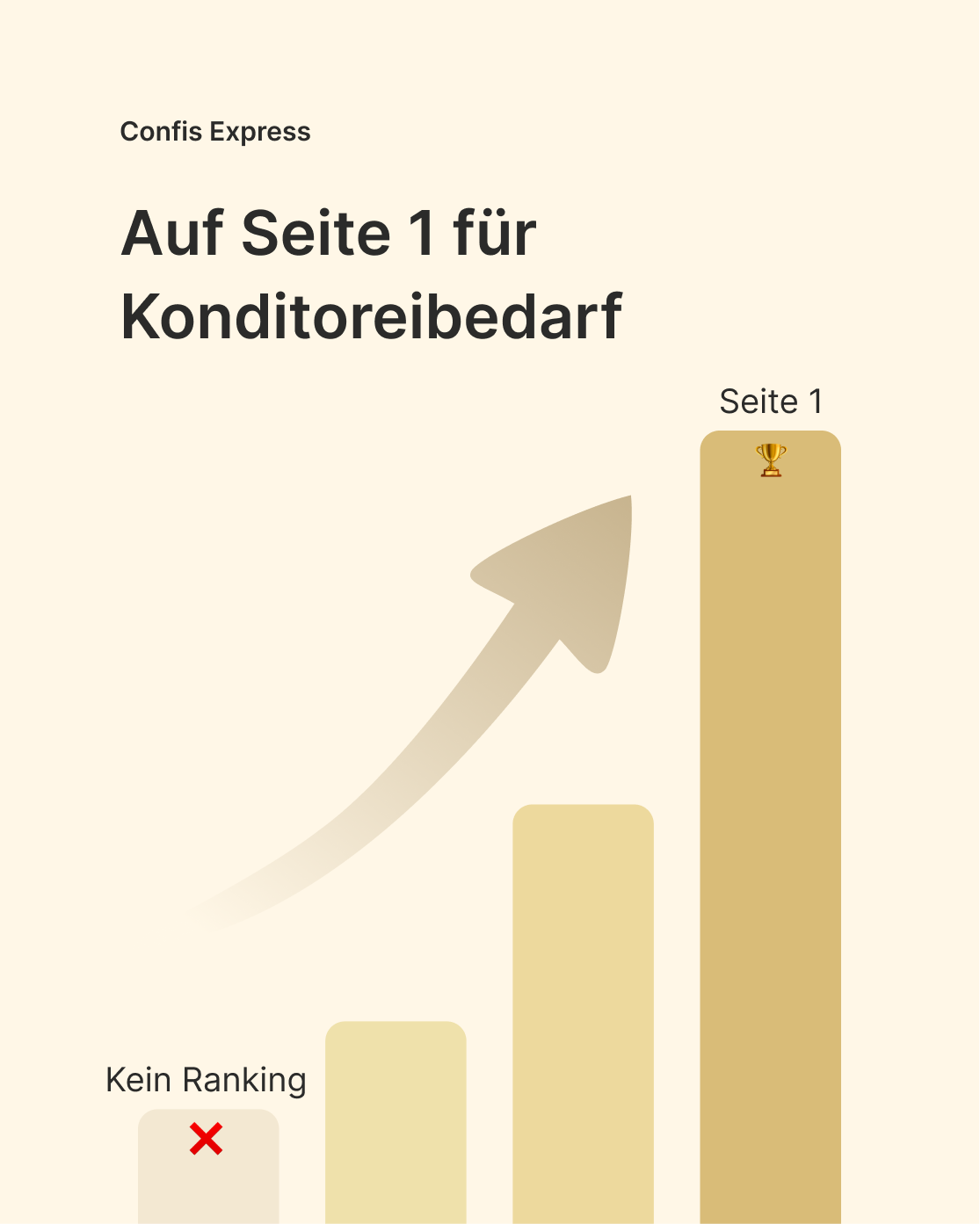 Confis Express SEO Erfolg